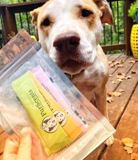 Beau the rescue with his favourite scents.