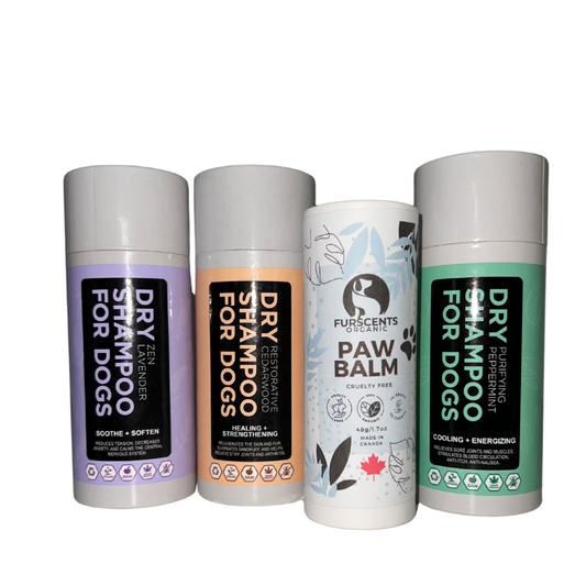 FurScents Summer Essentials Kit - 1 each of Zen Lavender, Restorative Cedarwood, Purifying Peppermint and Protective Paw Balm push up stick.