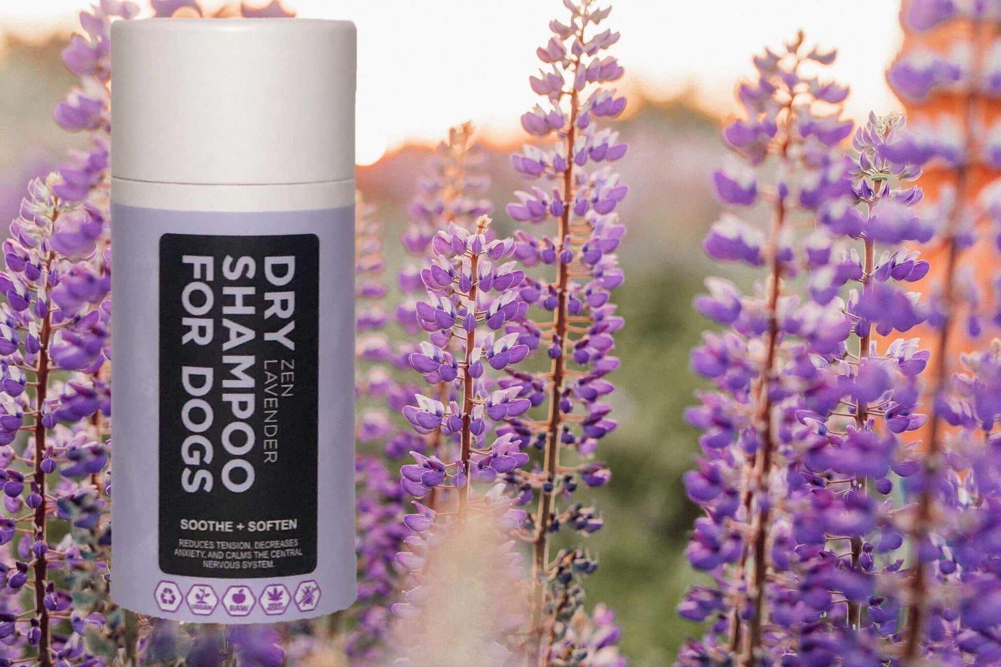 FurScents Zen Lavender Dry Shampoo for Dogs on Lavender field